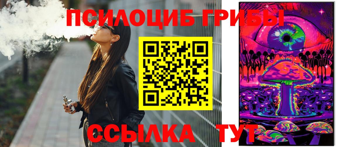 дарнет шоп  Галлюциногенные грибы Psilocybine cubensis  Вход с VPN  Урюпинск 
